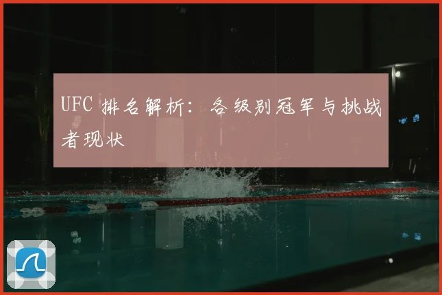 UFC 排名解析：各级别冠军与挑战者现状