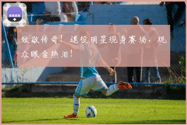致敬传奇！退役明星现身赛场，观众眼含热泪！