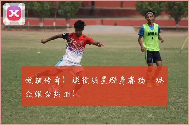 致敬传奇！退役明星现身赛场，观众眼含热泪！